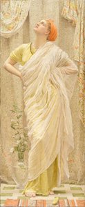 Canarini
